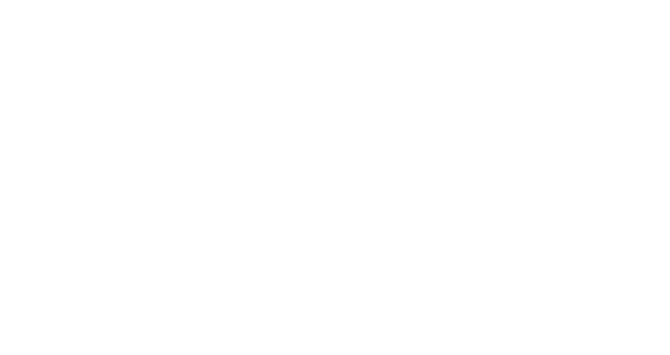Zapatoloco